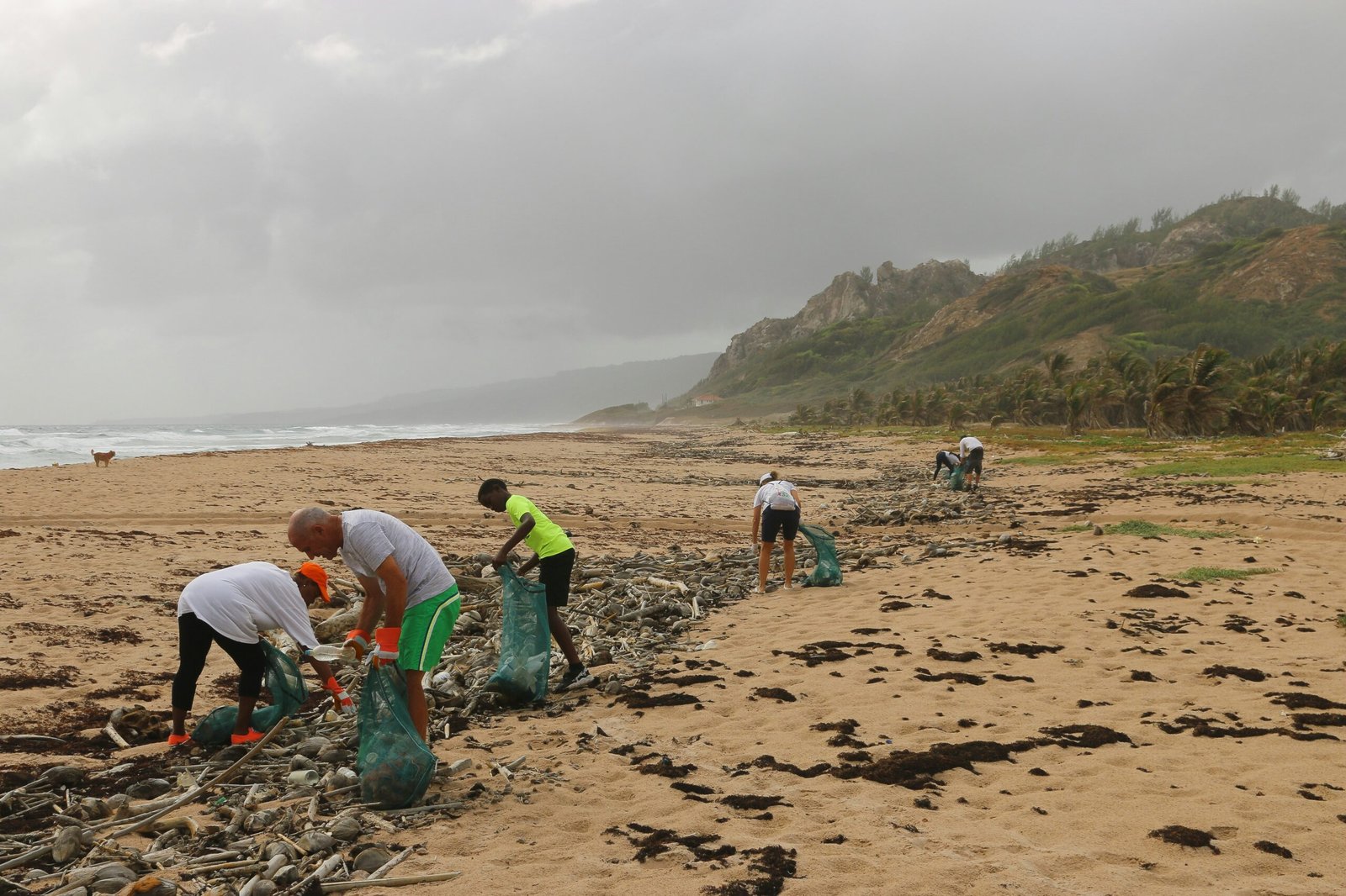 people picking garbage near beach